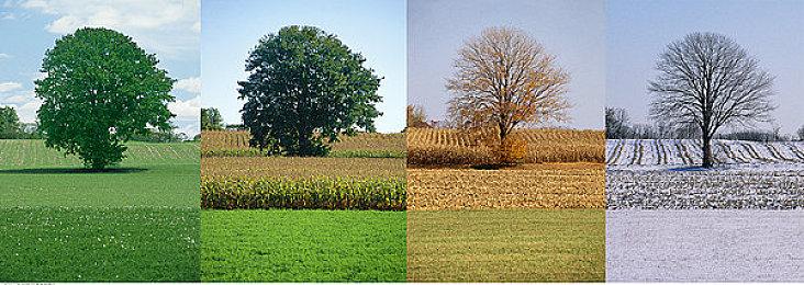 《世纪：灰烬纪元》新预告片 第一季新地图展示