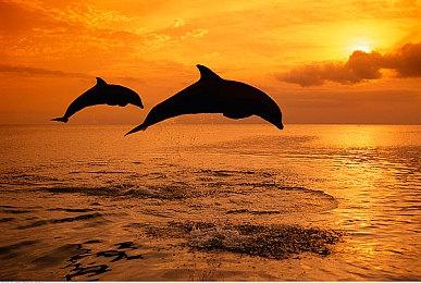 经典FPS《黑暗》首席设计加入新《夺宝奇兵》游戏项目